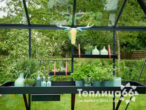 Теплица Juliana Oasis Anthracite